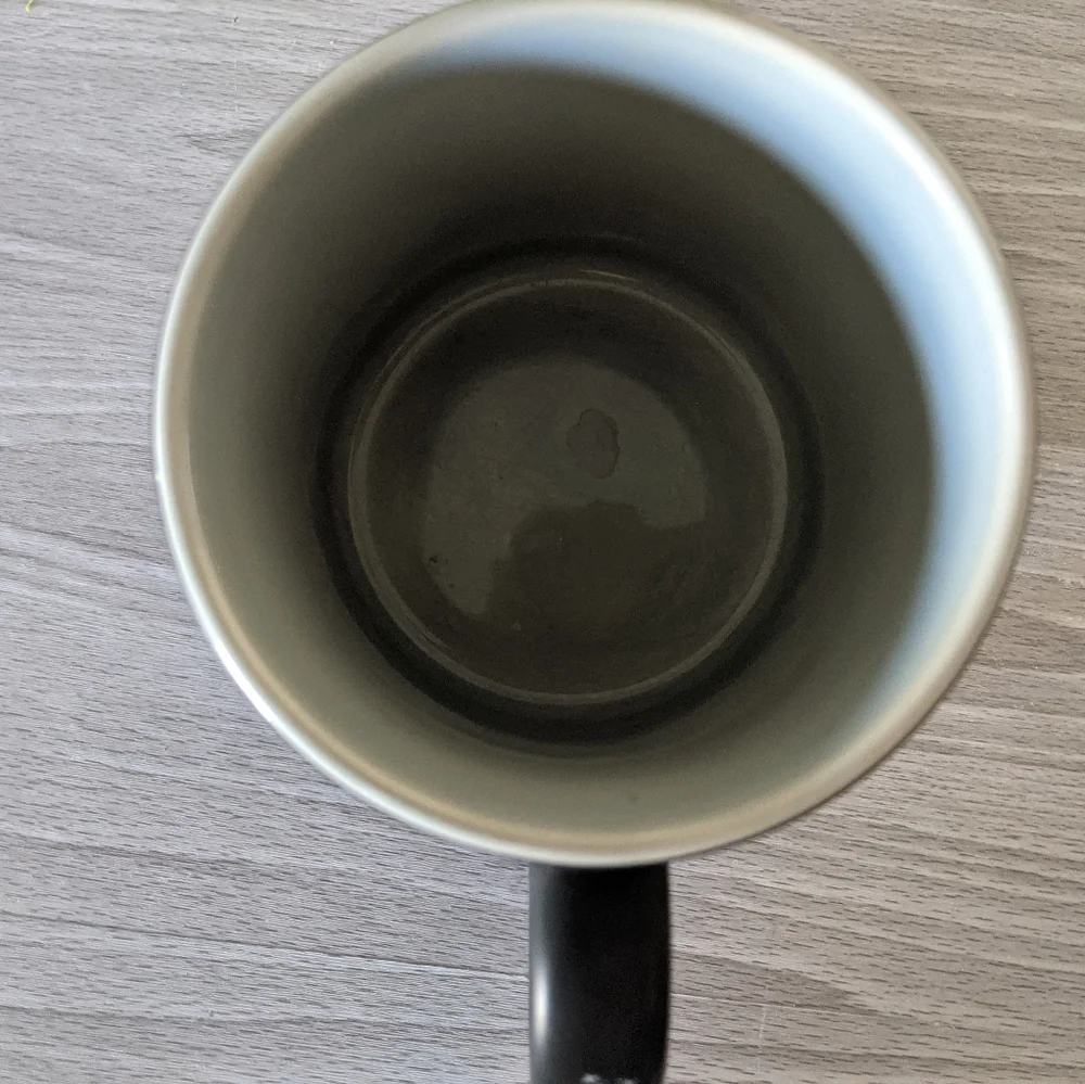 Walt Disney World Mug w/ Matte Finish